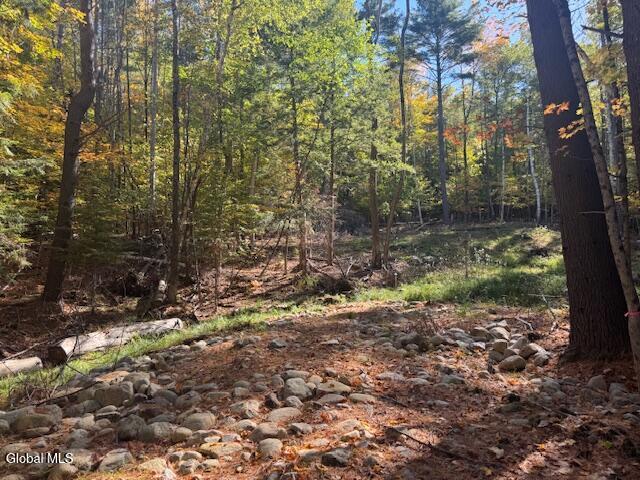 173 Cleveland Road Johnsburg NY 12843