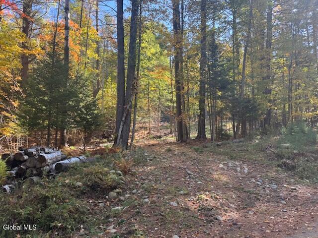 173 Cleveland Road Johnsburg NY 12843