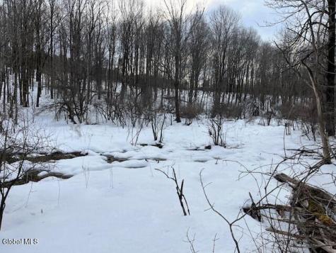 L6 Jordanville Road Columbia NY 13357