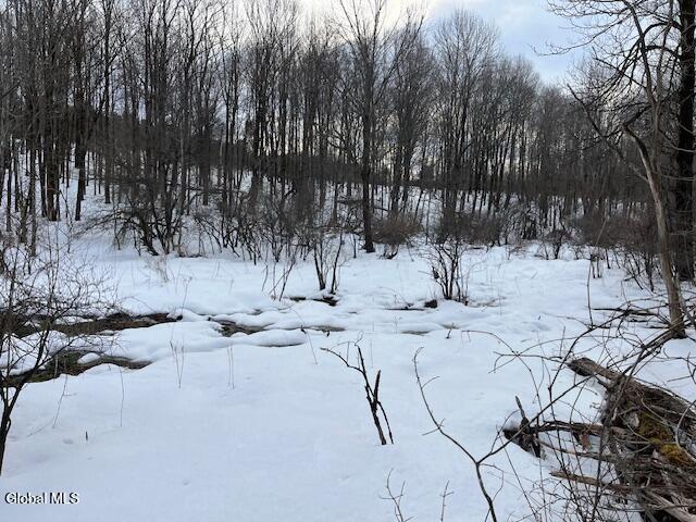 L6 Jordanville Road Columbia NY 13357