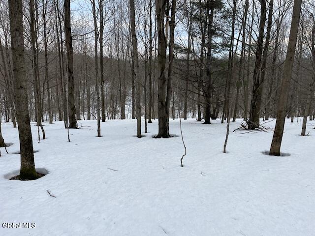 L6 Jordanville Road Columbia NY 13357