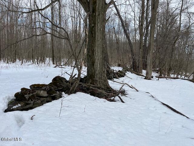 L6 Jordanville Road Columbia NY 13357