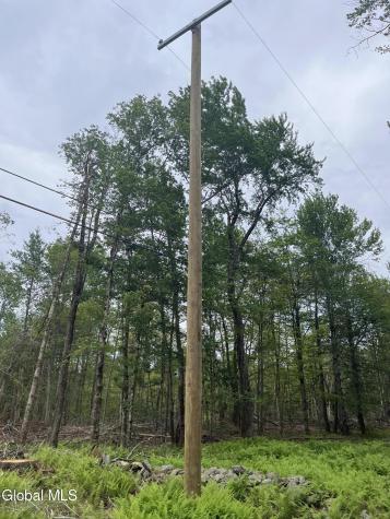 172 Crandall Road Petersburgh NY 12138