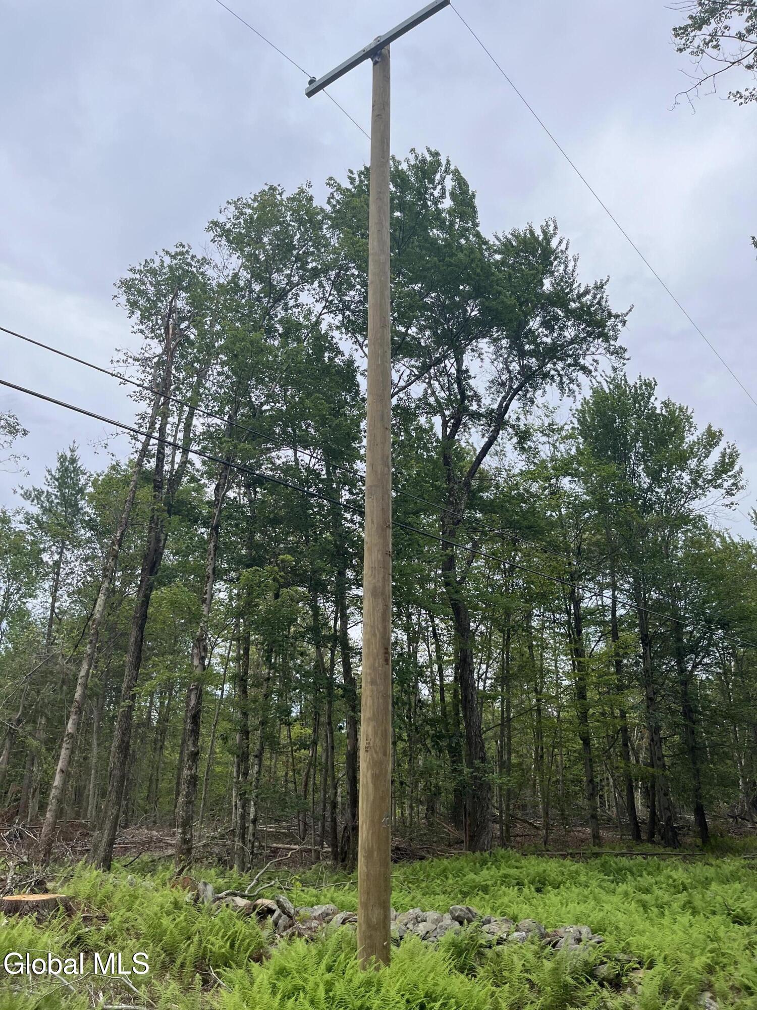172 Crandall Road Petersburgh NY 12138