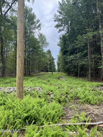 172 Crandall Road Petersburgh NY 12138