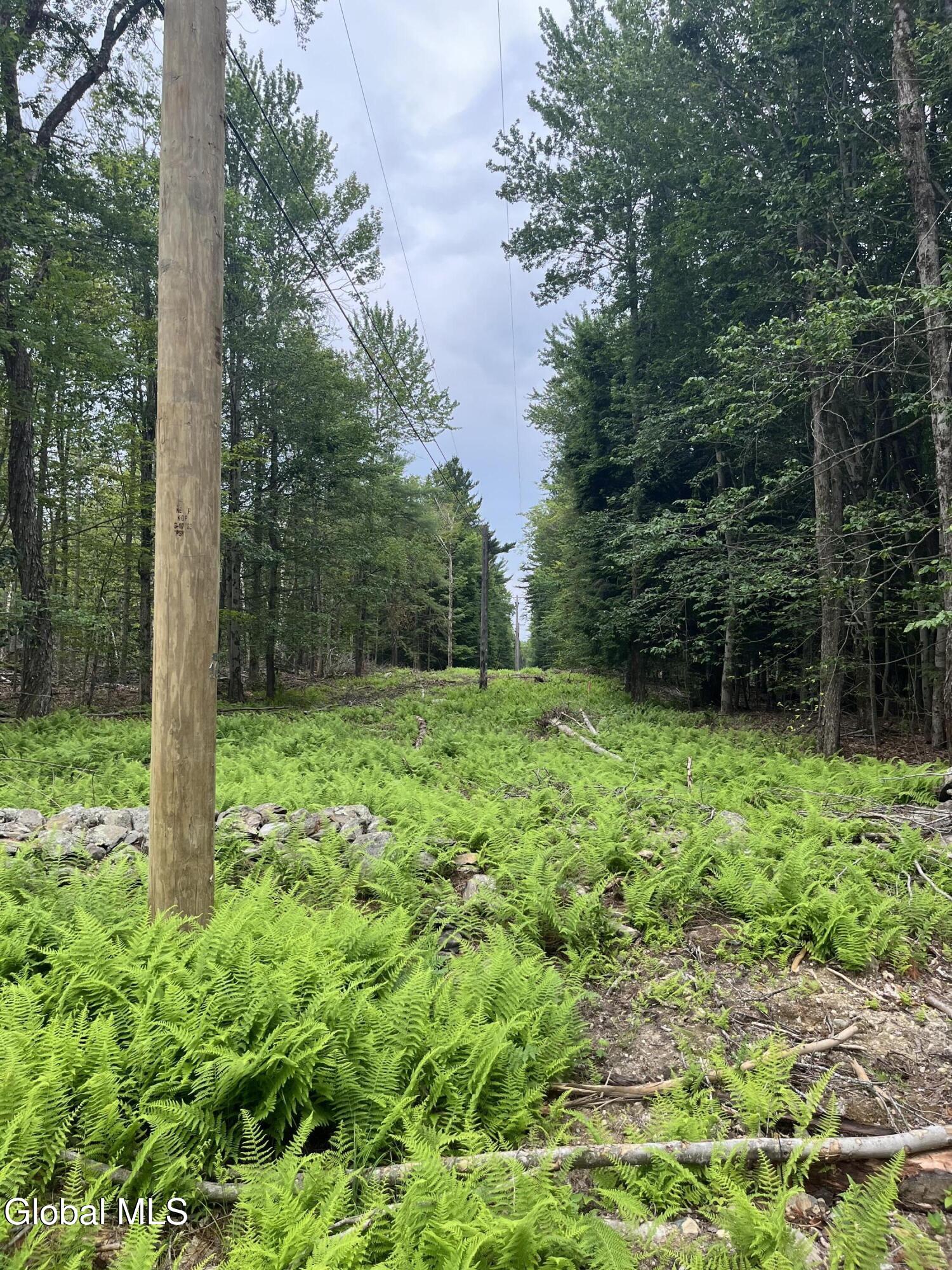 172 Crandall Road Petersburgh NY 12138