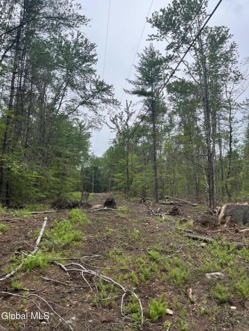 172 Crandall Road Petersburgh NY 12138