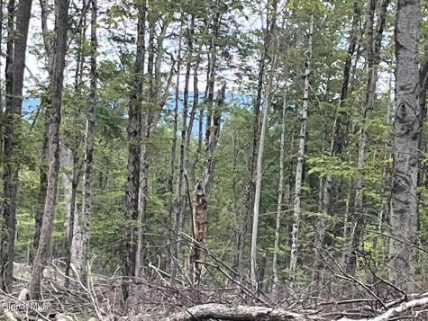 172 Crandall Road Petersburgh NY 12138