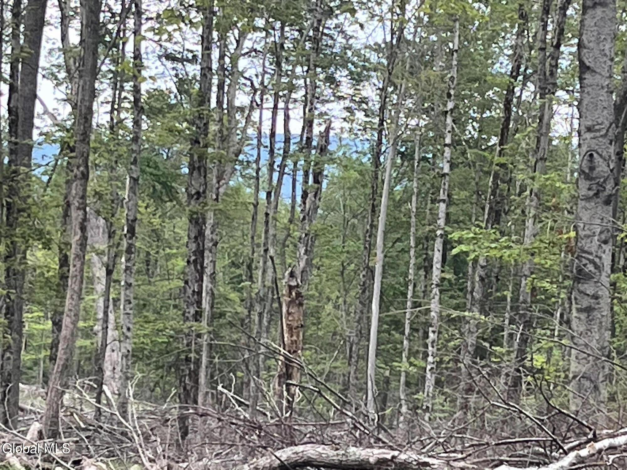 172 Crandall Road Petersburgh NY 12138