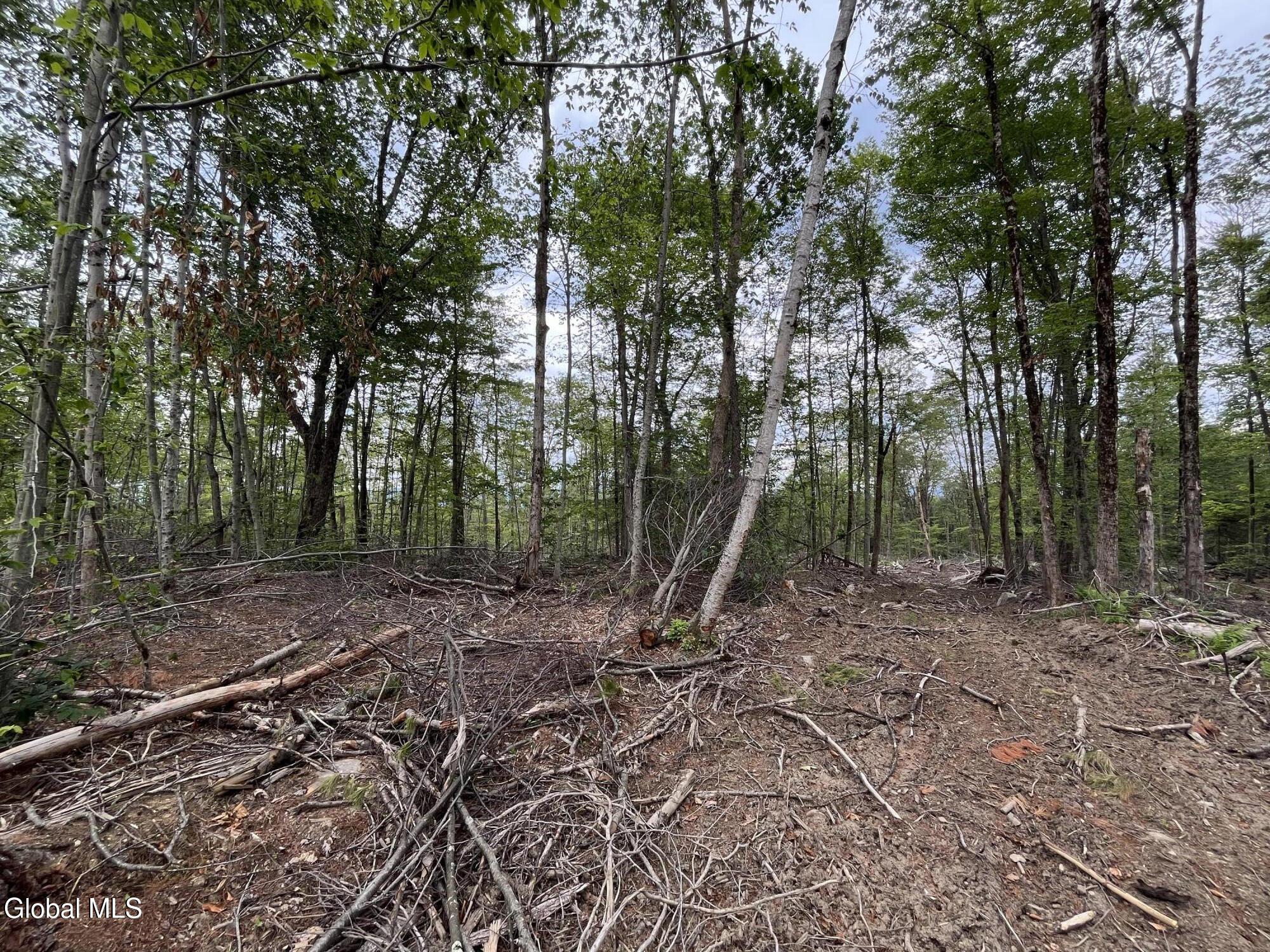 172 Crandall Road Petersburgh NY 12138