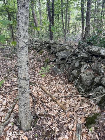 172 Crandall Road Petersburgh NY 12138