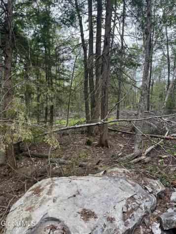 172 Crandall Road Petersburgh NY 12138