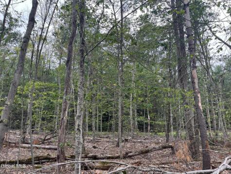 172 Crandall Road Petersburgh NY 12138