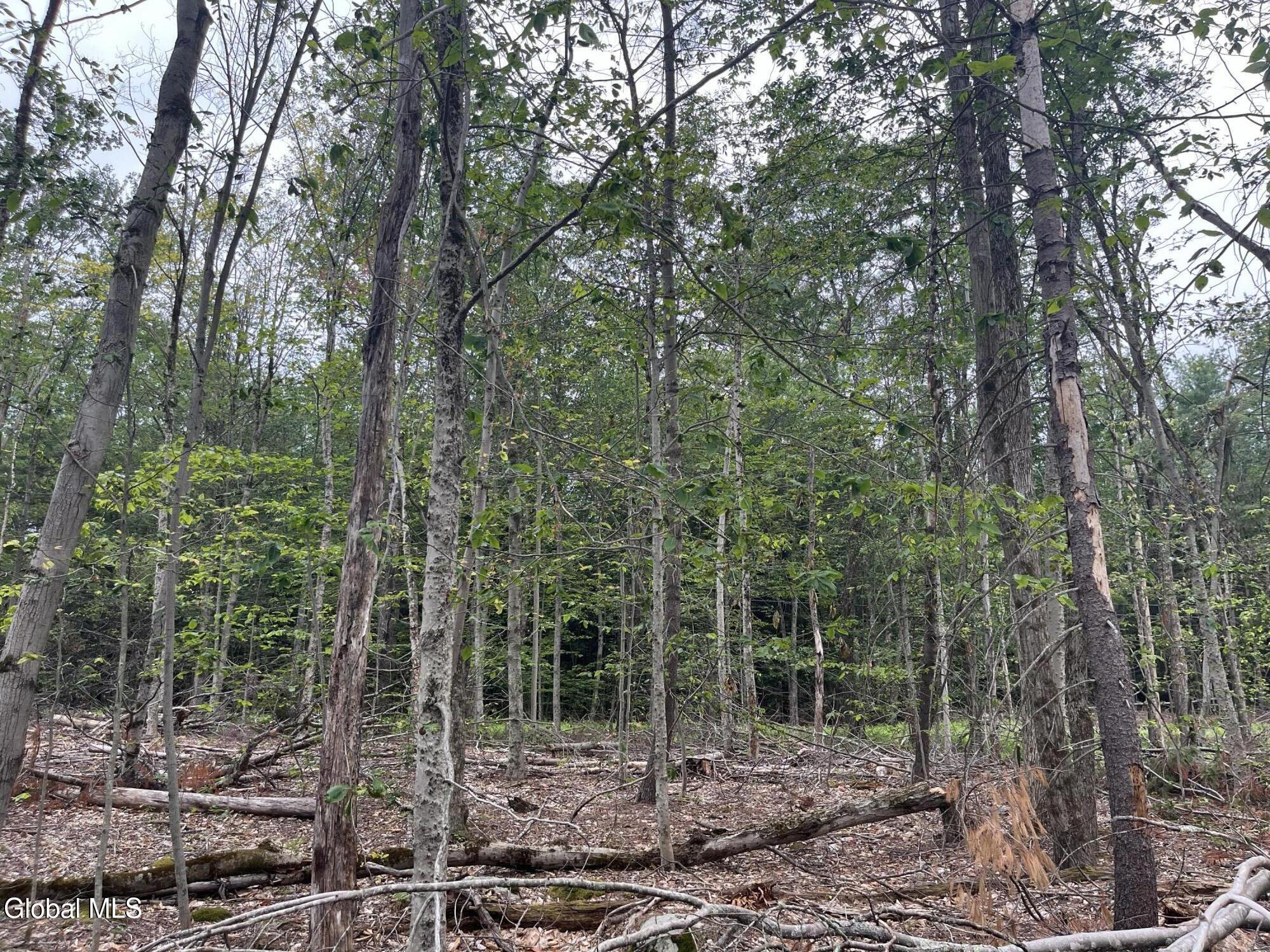 172 Crandall Road Petersburgh NY 12138