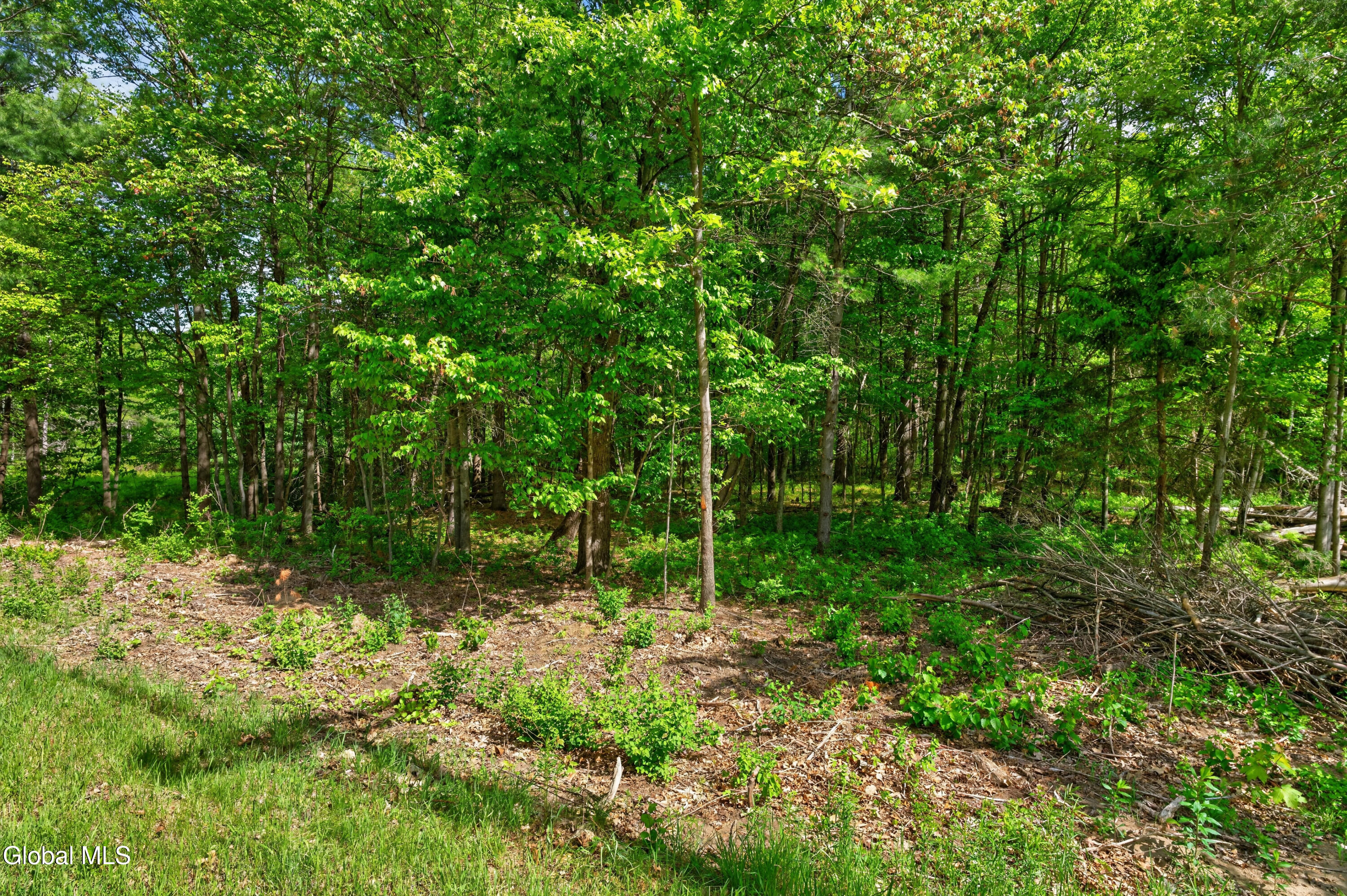 L1 27.11 Ruggles Road Saratoga NY 12831