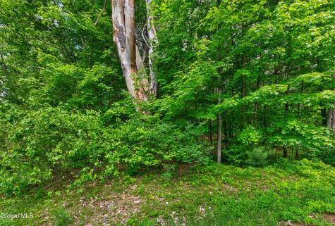 L1 27.11 Ruggles Road Saratoga NY 12831
