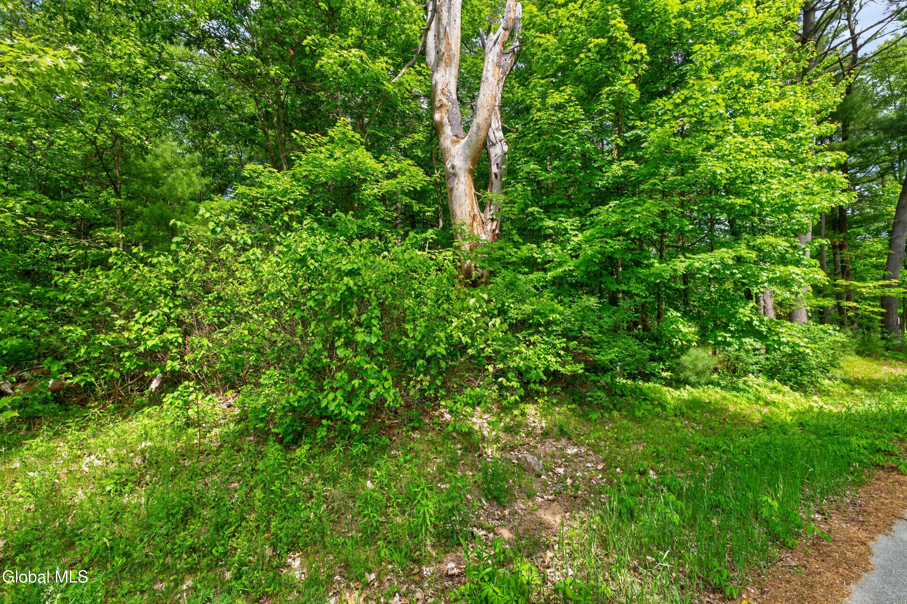 L1 27.11 Ruggles Road Saratoga NY 12831