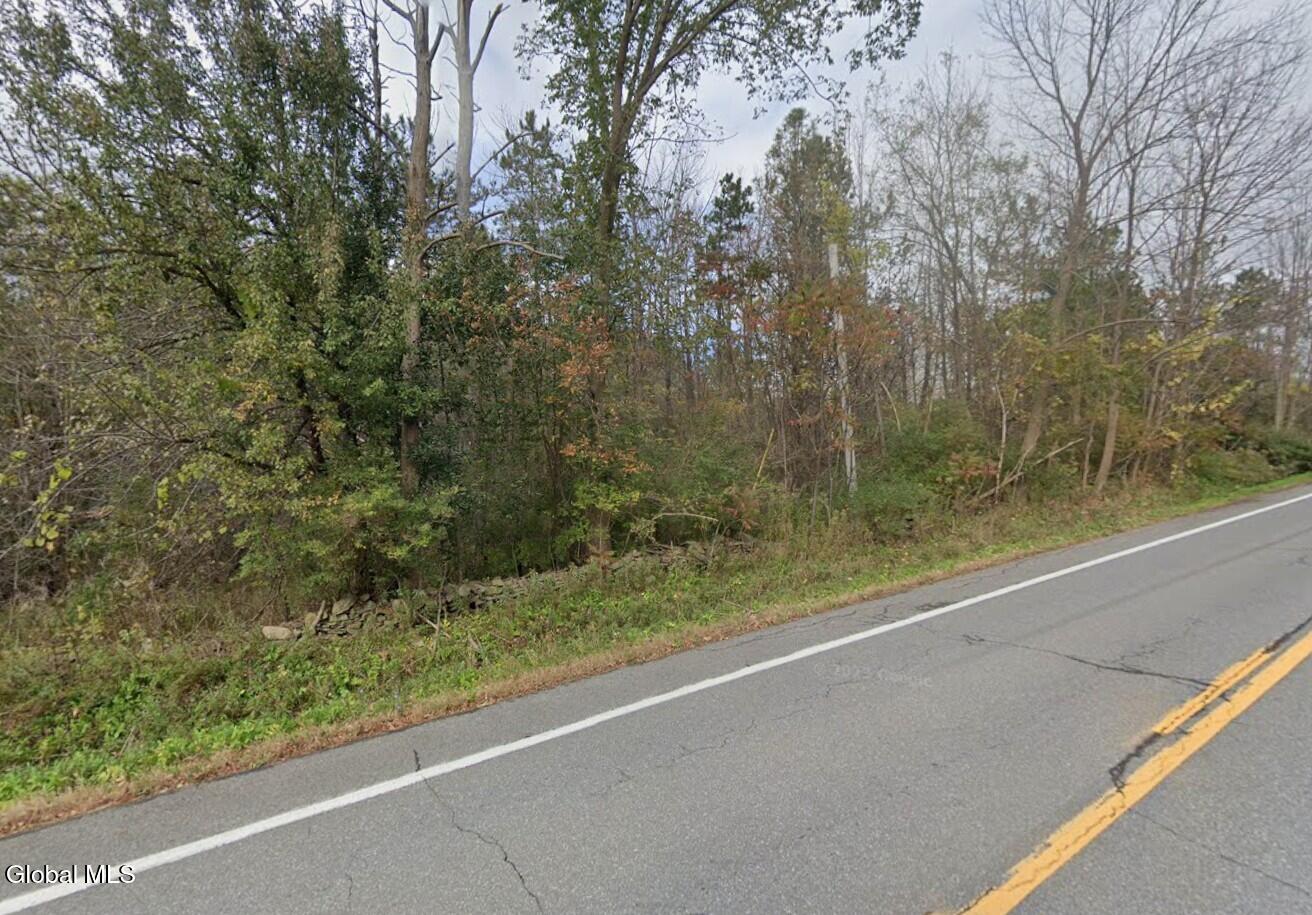 0 St Route 85 Westerlo NY 12193