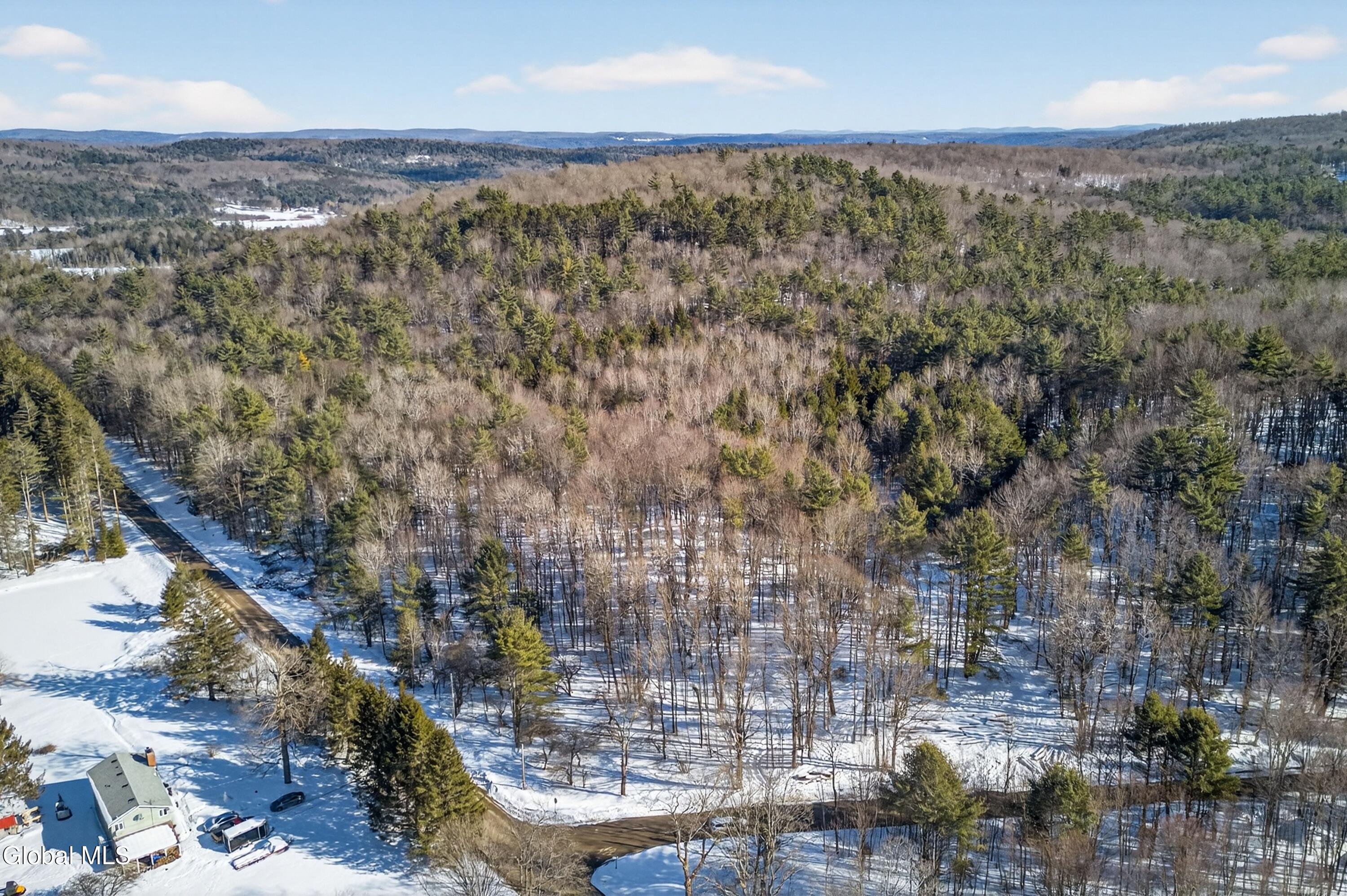 L29 County Highway 45 Milford NY 13348