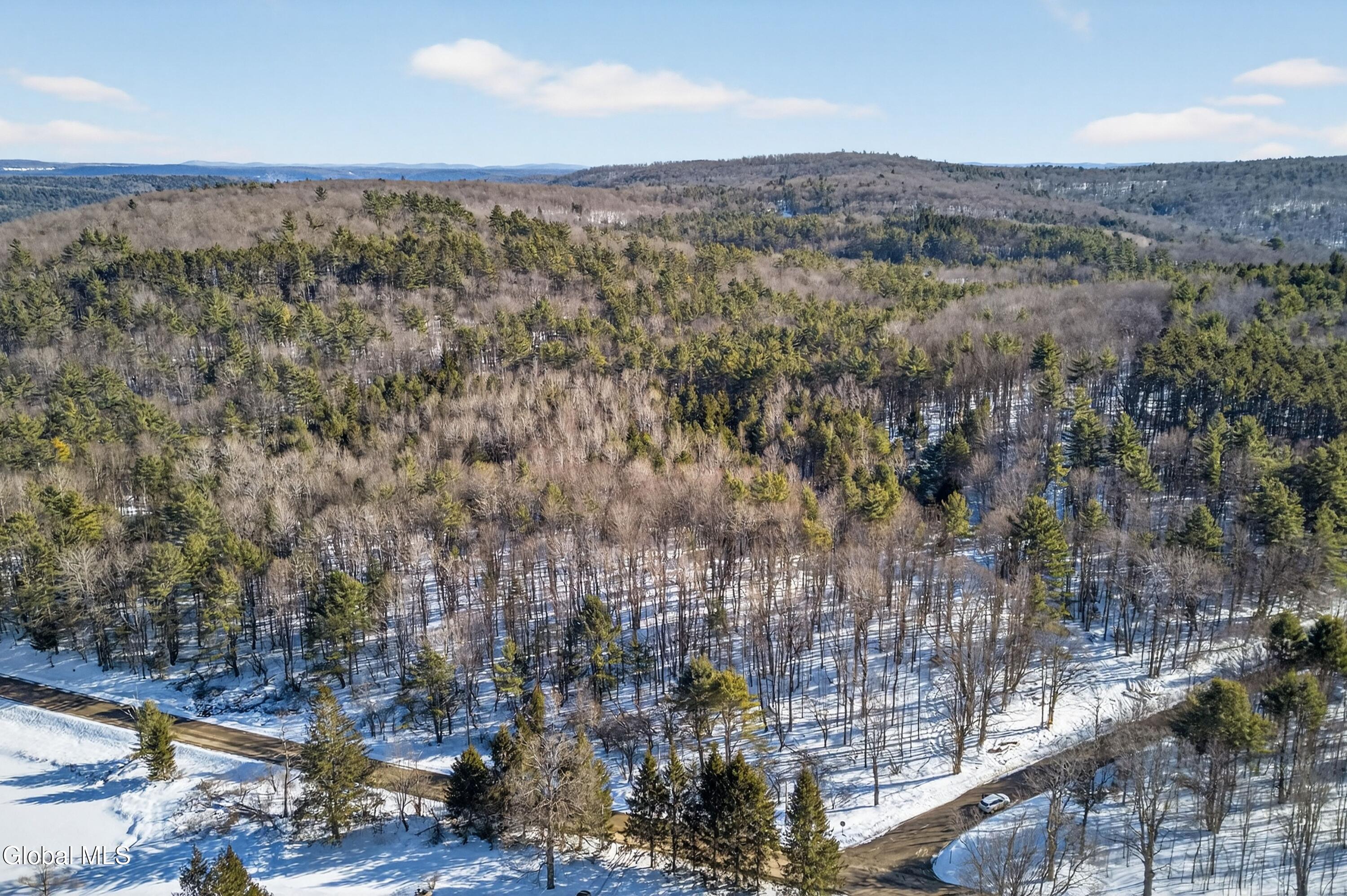 L29 County Highway 45 Milford NY 13348