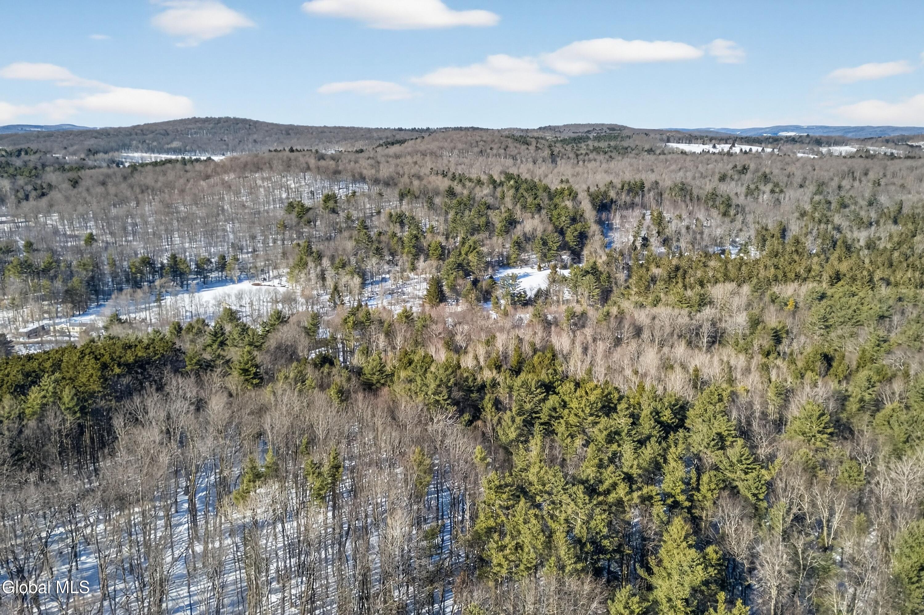L29 County Highway 45 Milford NY 13348