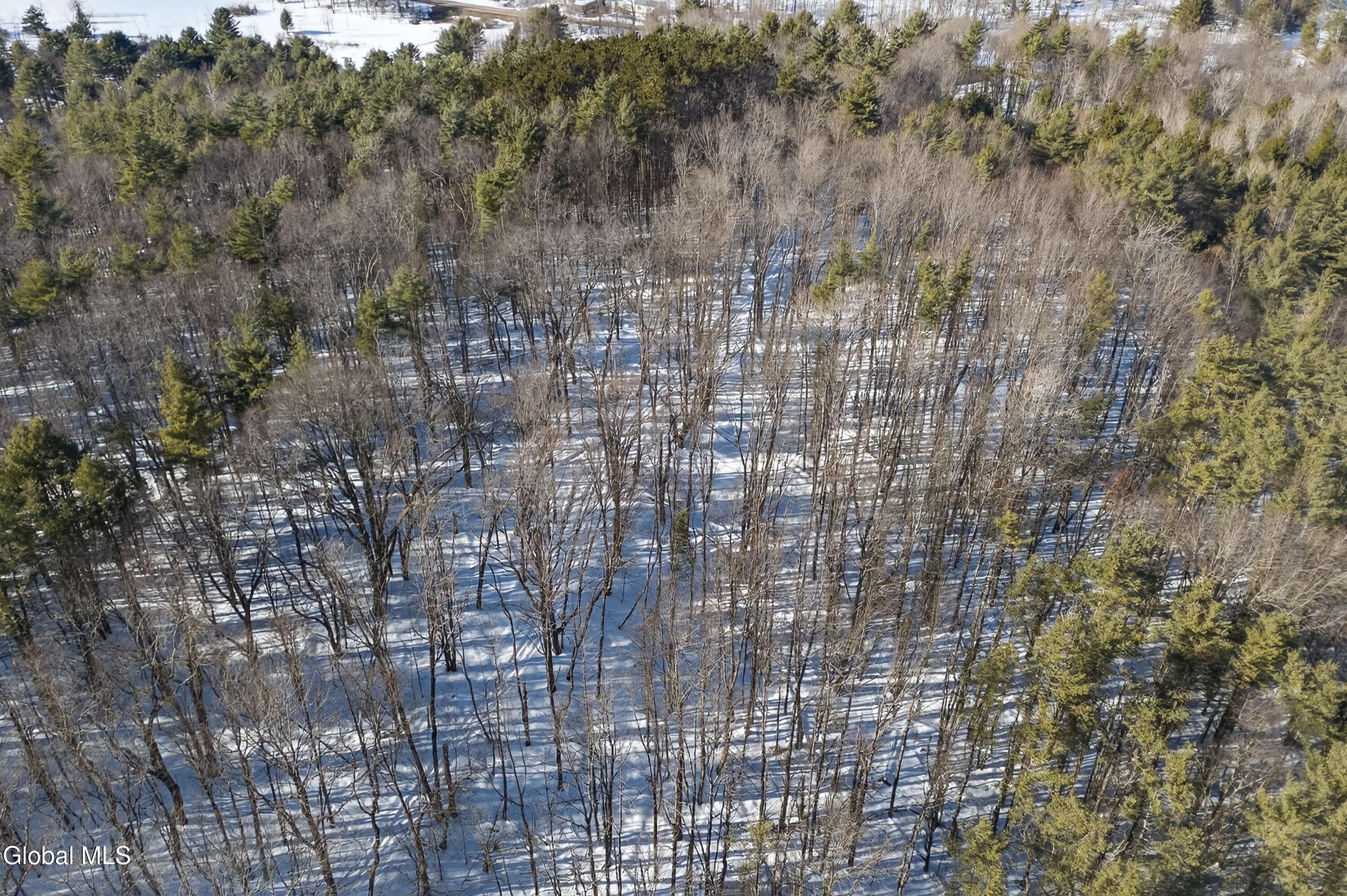 L29 County Highway 45 Milford NY 13348