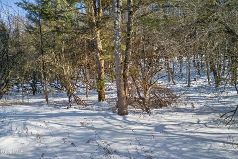 L29 County Highway 45 Milford NY 13348