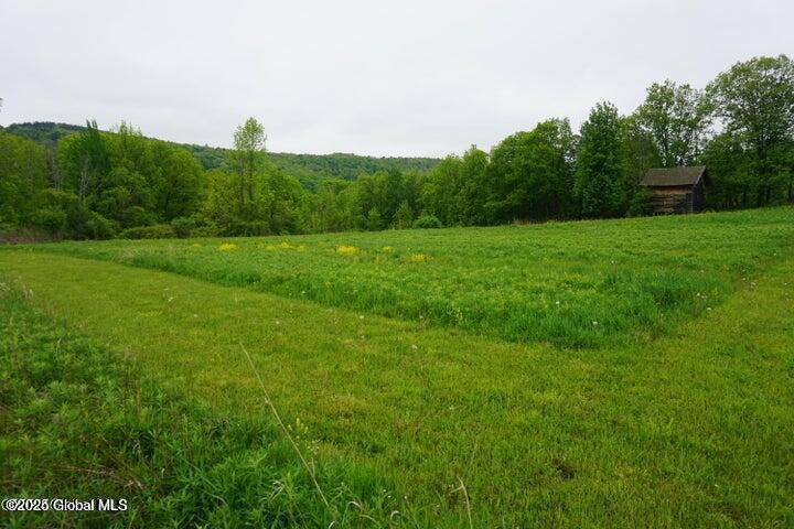 L26 W Fulton Road Richmondville NY 12187
