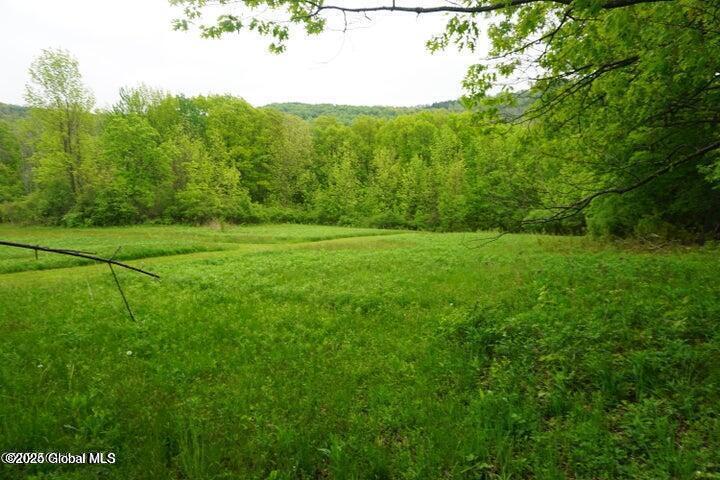 L26 W Fulton Road Richmondville NY 12187