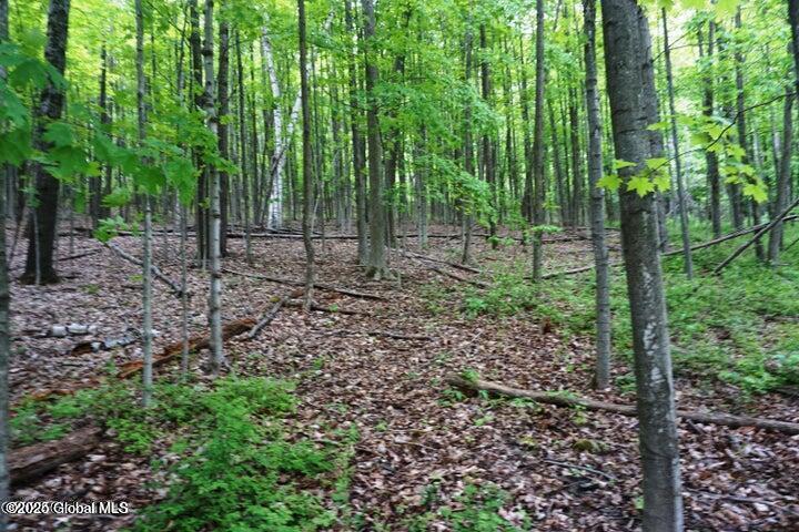 L26 W Fulton Road Richmondville NY 12187