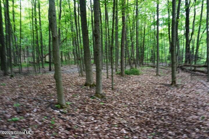 L26 W Fulton Road Richmondville NY 12187