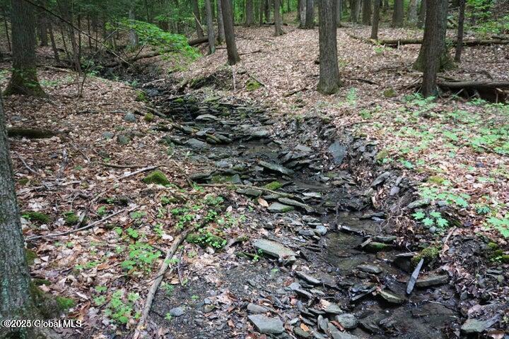 L26 W Fulton Road Richmondville NY 12187