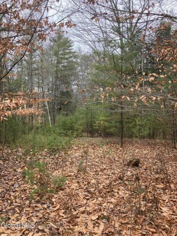 15.114 Scofield Road Lake Luzerne NY 12846