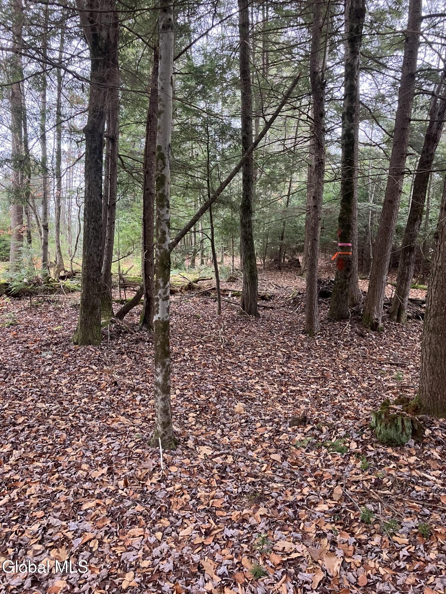 15.114 Scofield Road Lake Luzerne NY 12846