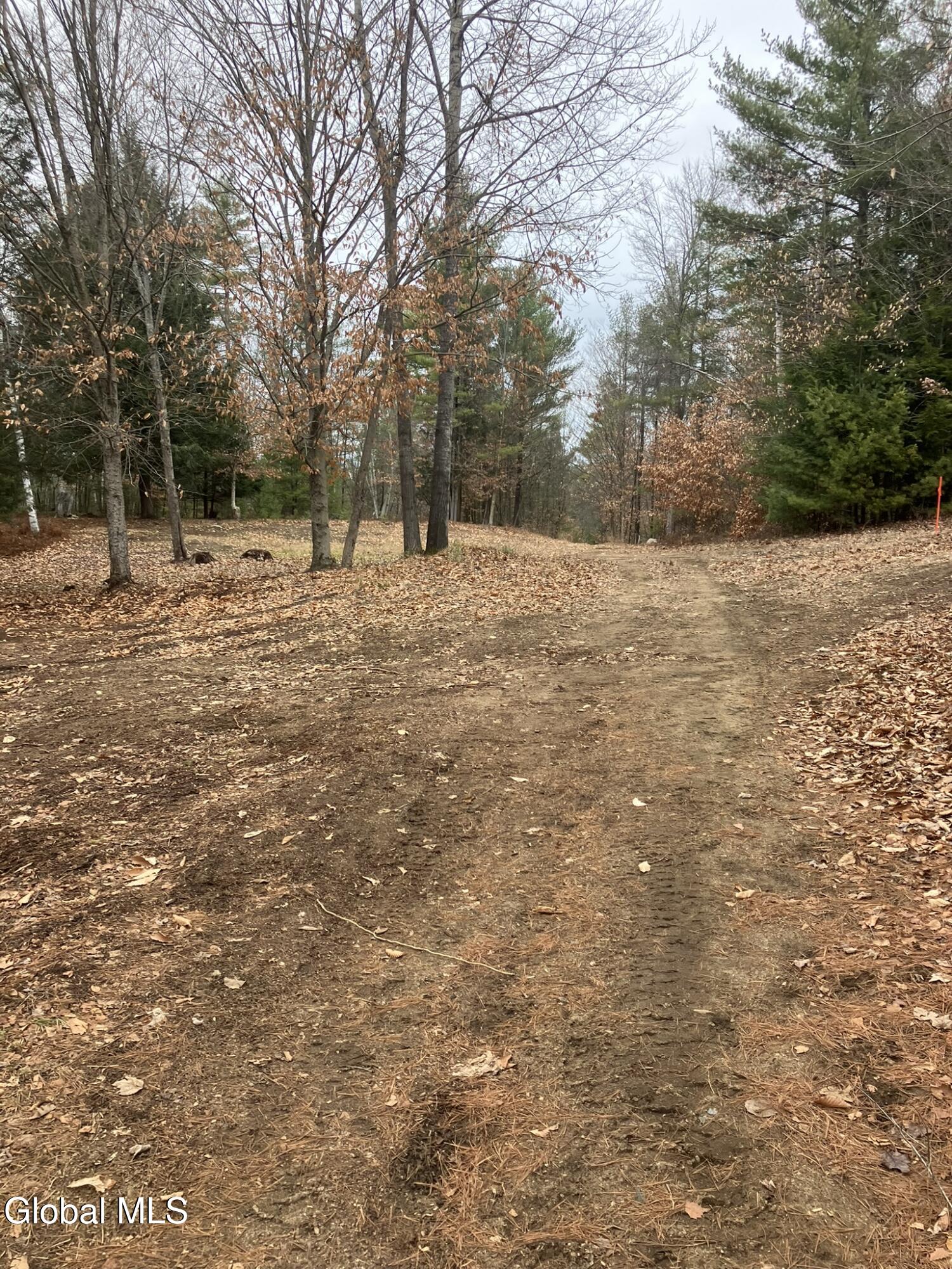 15.114 Scofield Road Lake Luzerne NY 12846