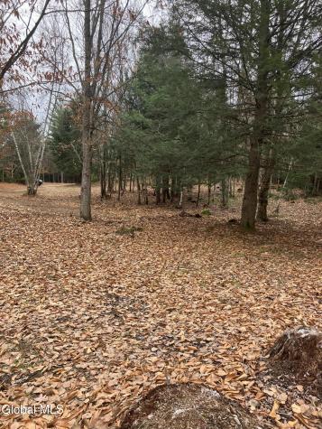 15.114 Scofield Road Lake Luzerne NY 12846