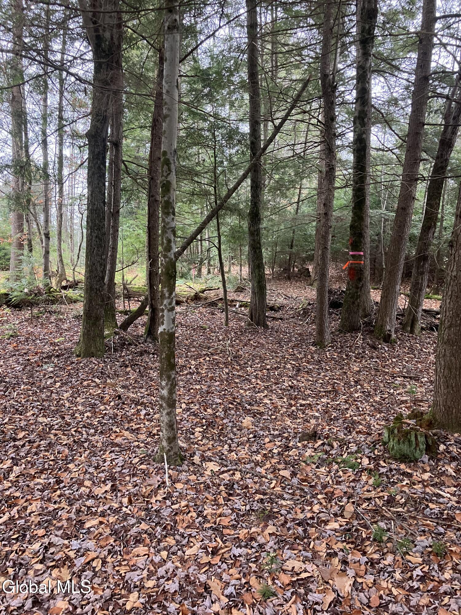 15.114 Scofield Road Lake Luzerne NY 12846