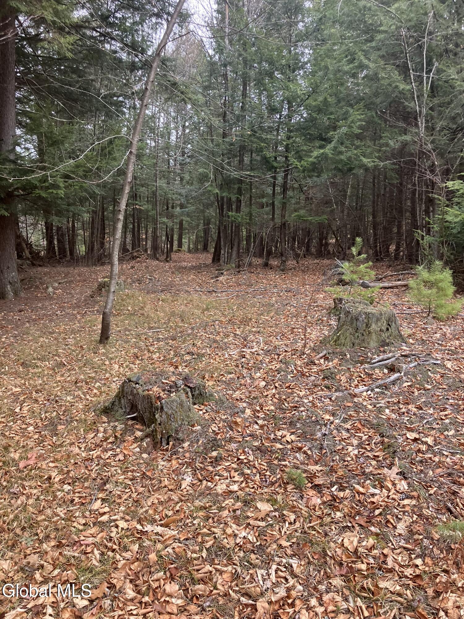 15.114 Scofield Road Lake Luzerne NY 12846