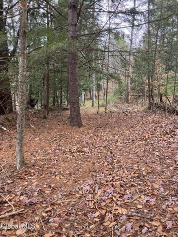15.114 Scofield Road Lake Luzerne NY 12846