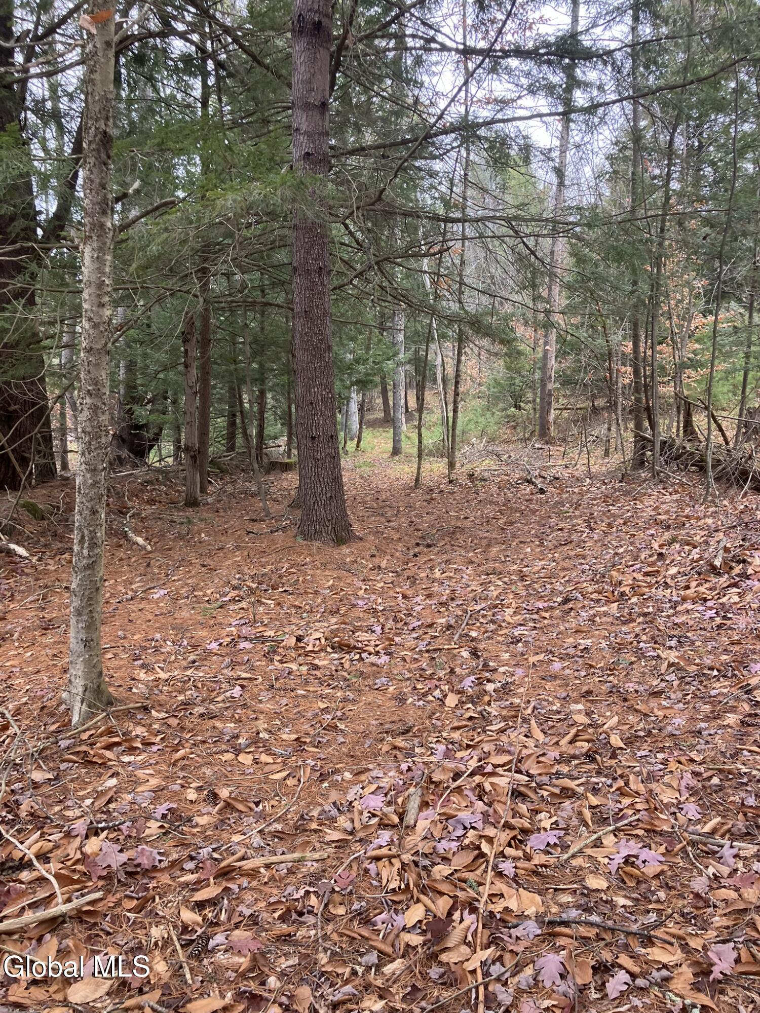 15.114 Scofield Road Lake Luzerne NY 12846