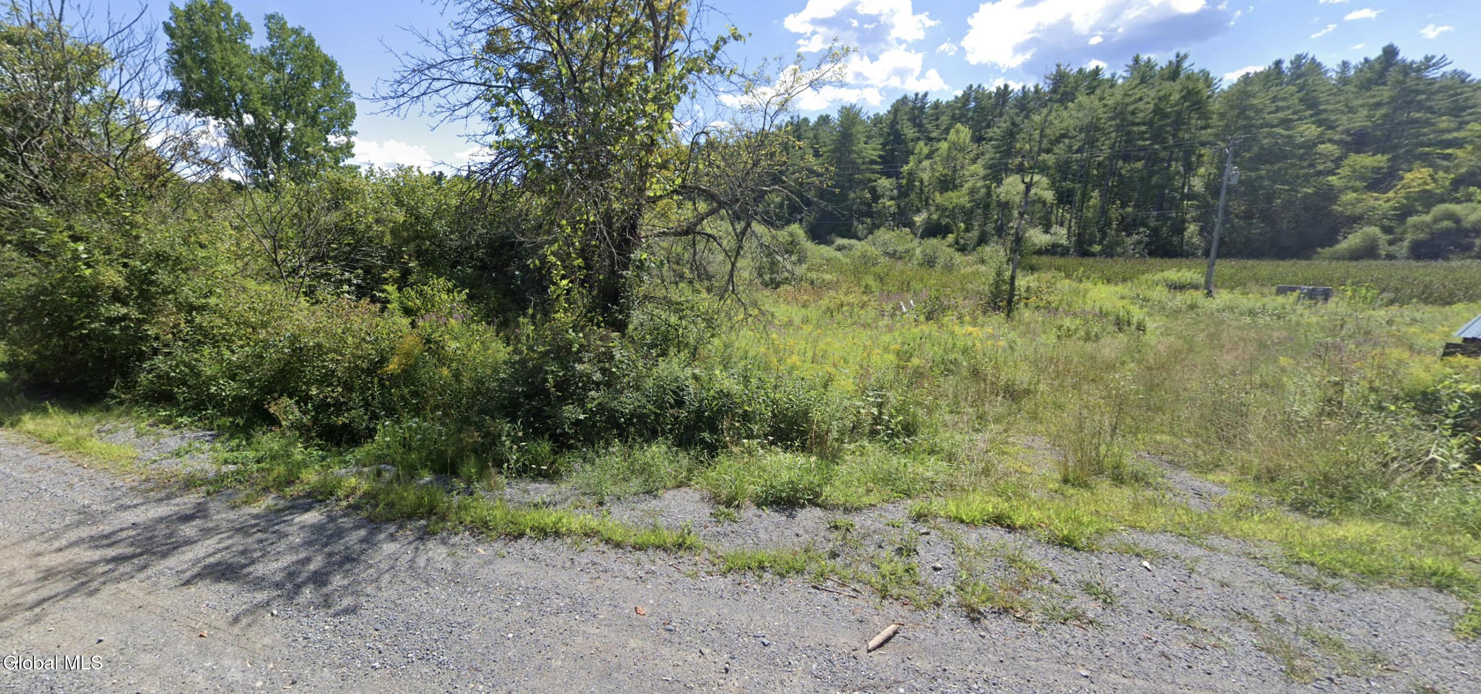 L10.1 Kelsey Pond Lane Fort Ann NY 12827