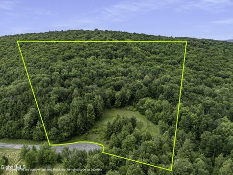 L28.2 Deer Lane Prattsville NY 12452
