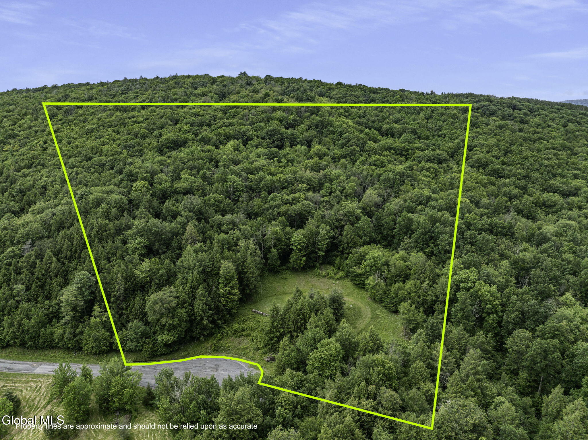 L28.2 Deer Lane Prattsville NY 12452