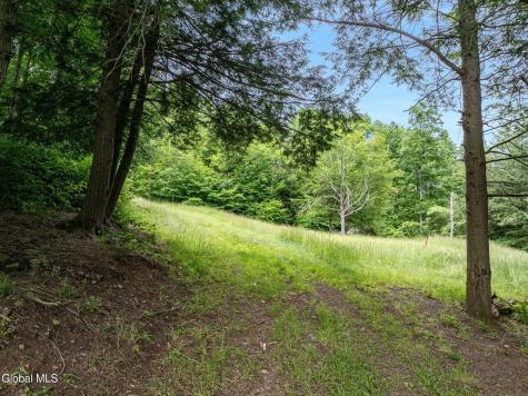 L28.2 Deer Lane Prattsville NY 12452