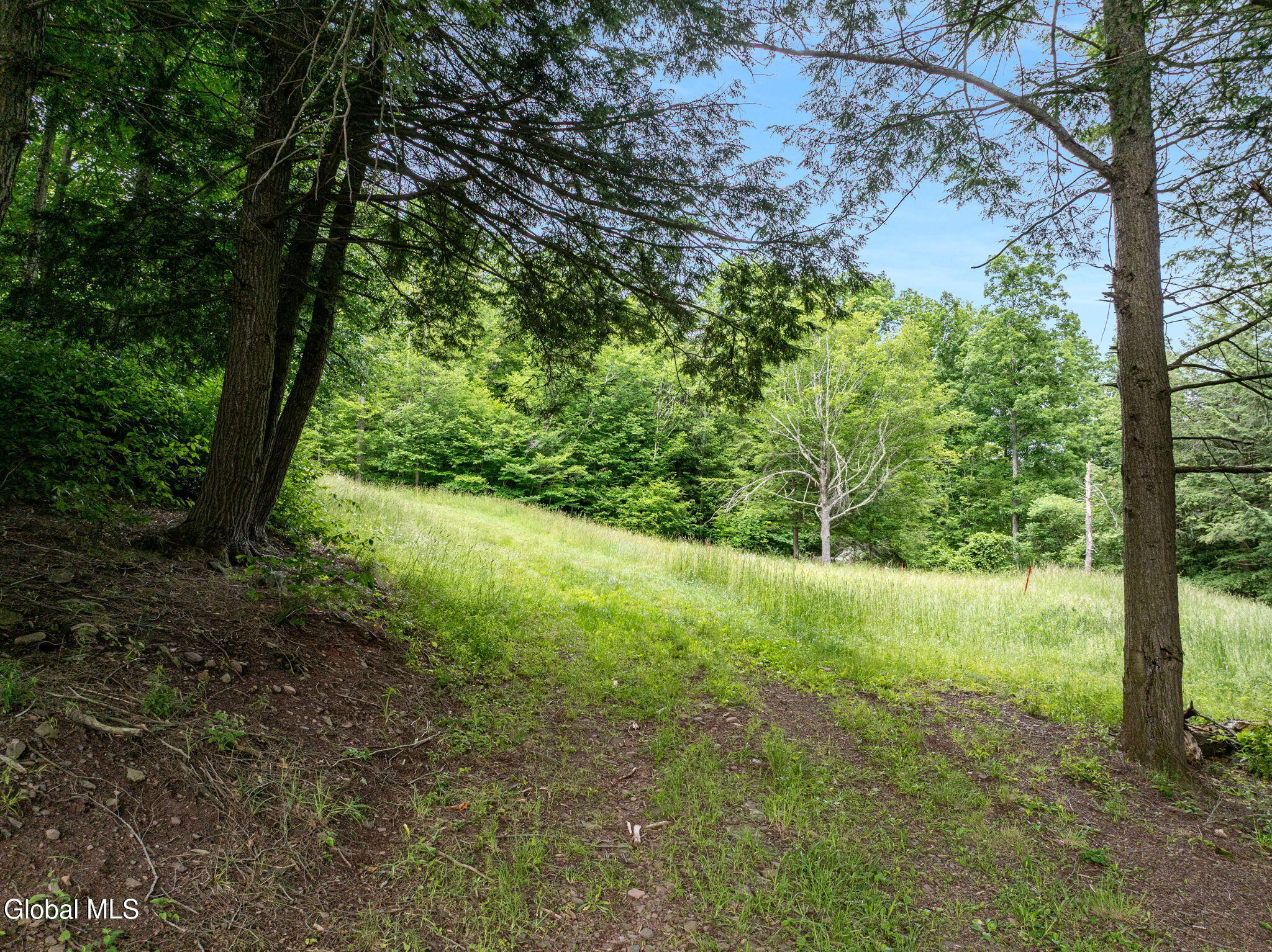 L28.2 Deer Lane Prattsville NY 12452