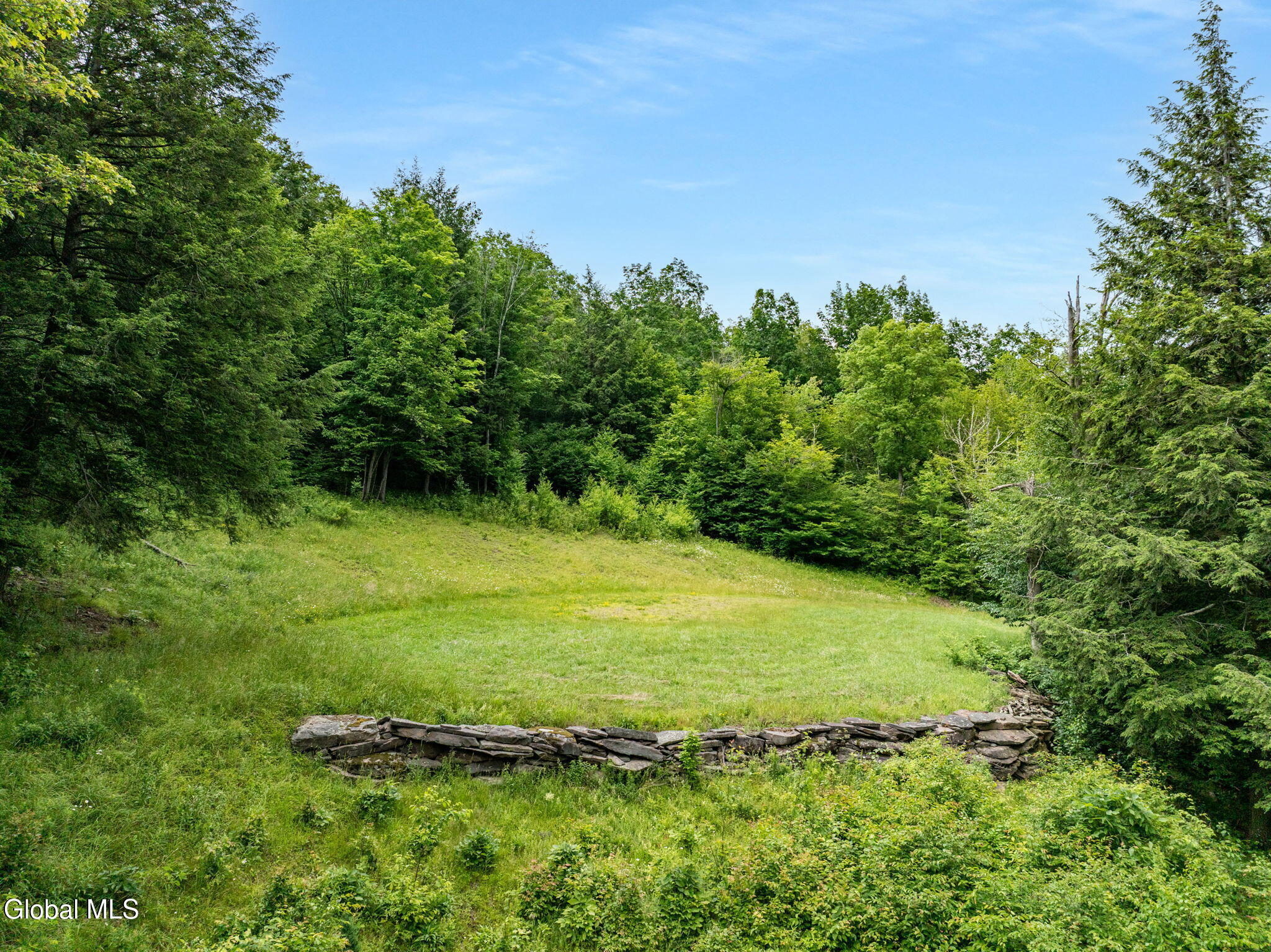L28.2 Deer Lane Prattsville NY 12452