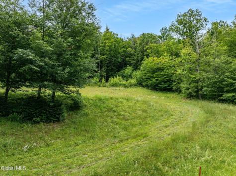 L28.2 Deer Lane Prattsville NY 12452