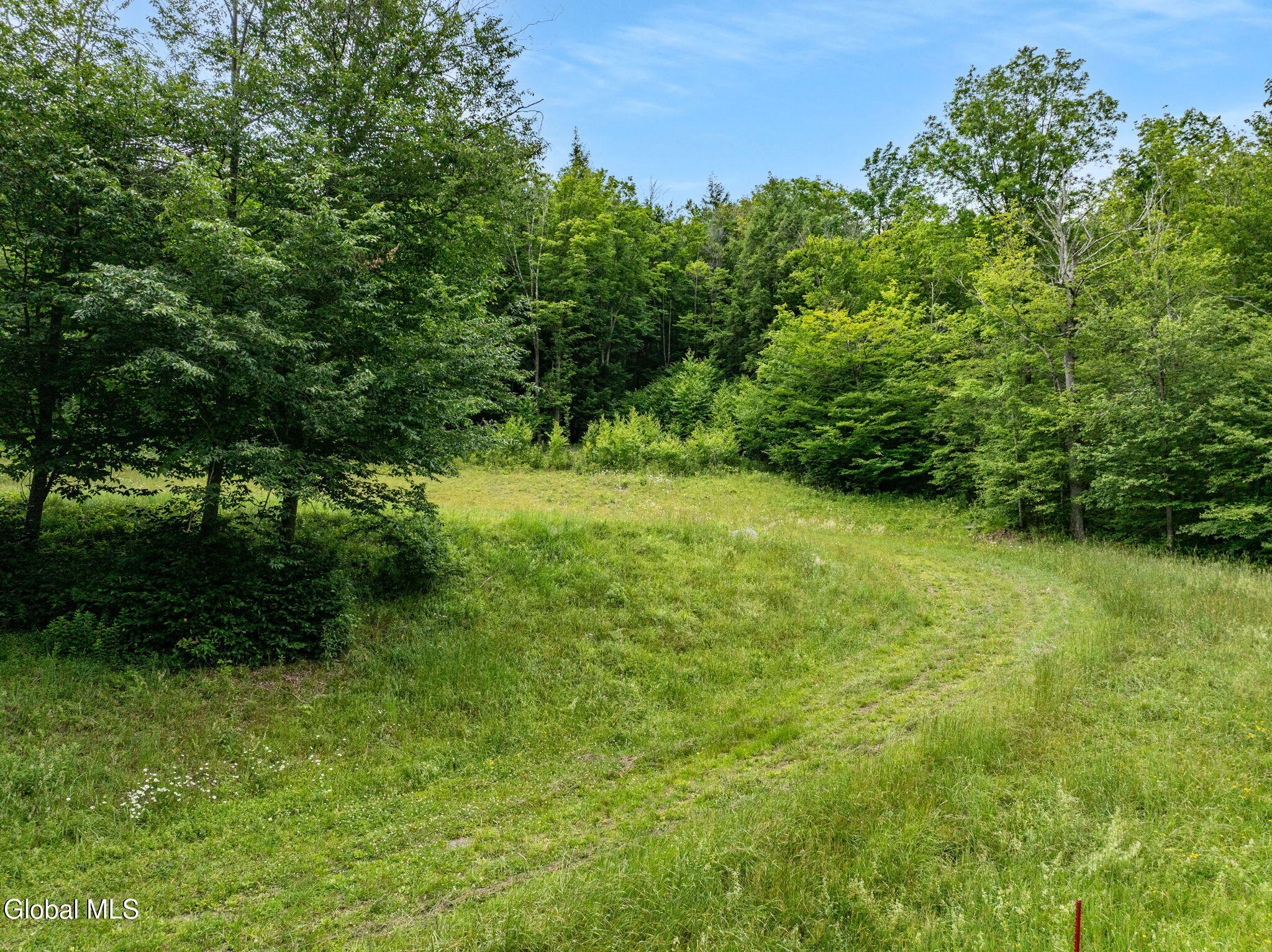 L28.2 Deer Lane Prattsville NY 12452