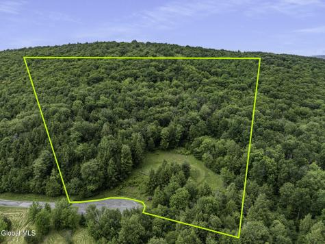 L28.2 Deer Lane Prattsville NY 12452