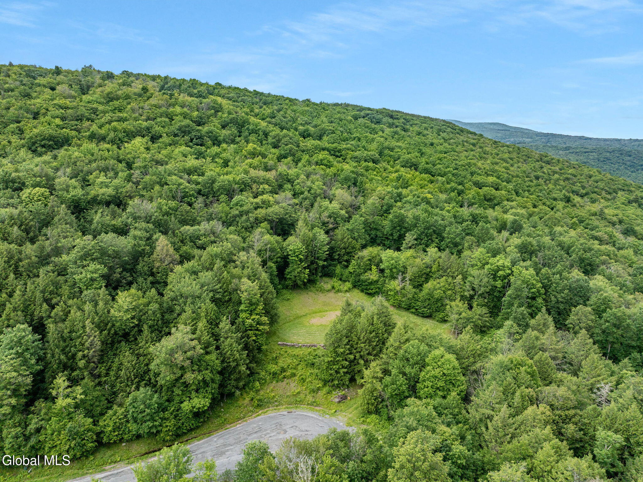 L28.2 Deer Lane Prattsville NY 12452
